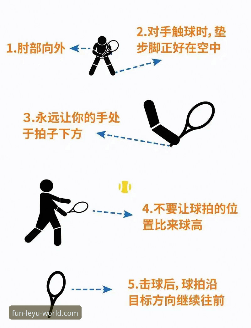 乐鱼体育平台究竟有哪些实用功能？3分钟看懂核心玩法